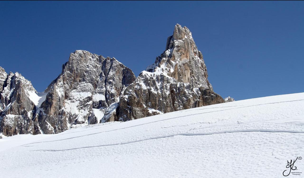 مبيت وإفطار تيزيرو Casa De Fiemme المظهر الخارجي الصورة
