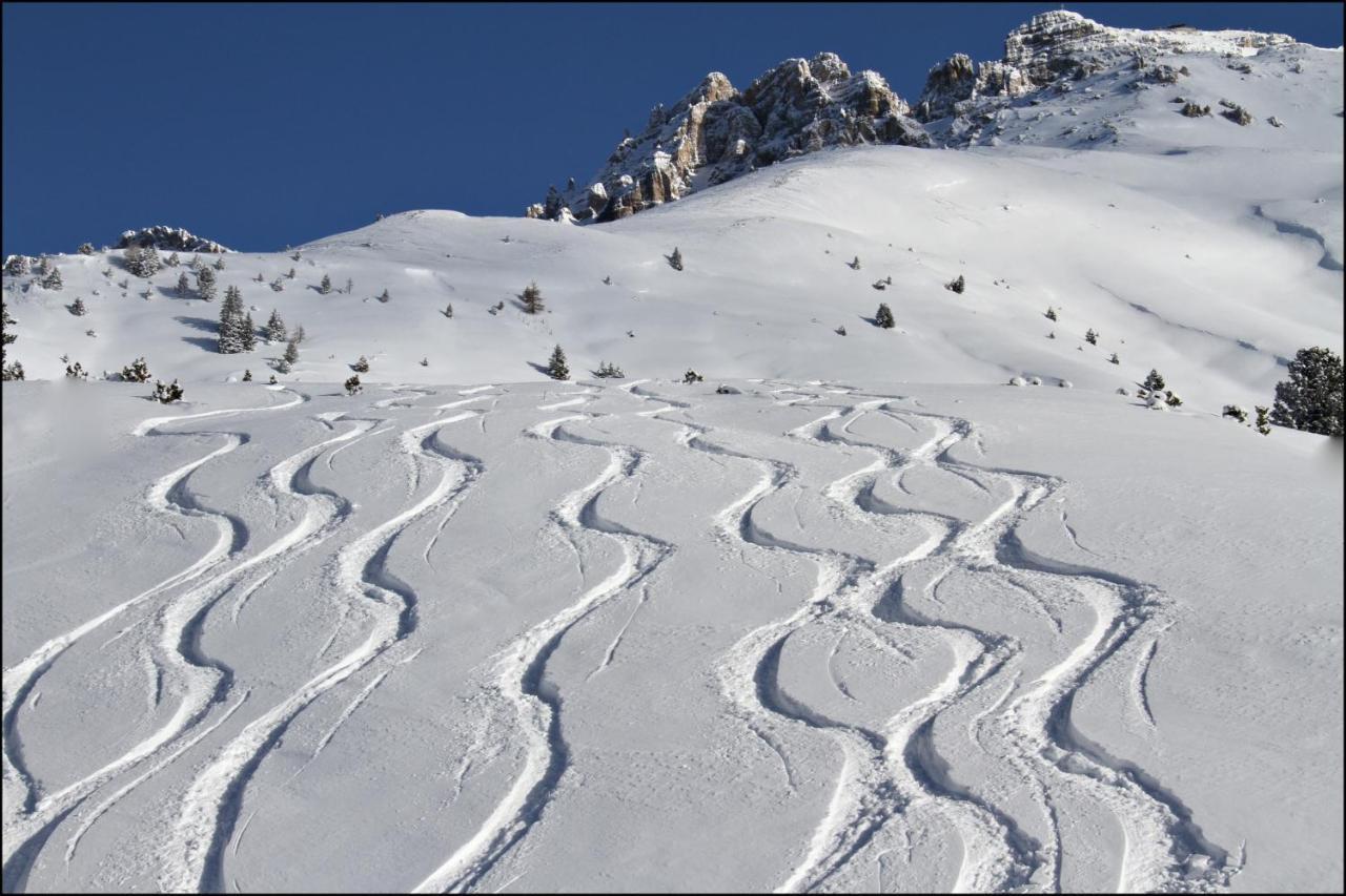 مبيت وإفطار تيزيرو Casa De Fiemme المظهر الخارجي الصورة